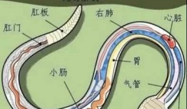 观观爆料箱没视频怎么办,视频缺席，精彩内容仍不容错过